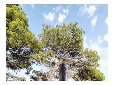 Apartment Three bedroom apartment near beach Ugljan A-19580-a - Outdoor photo 35