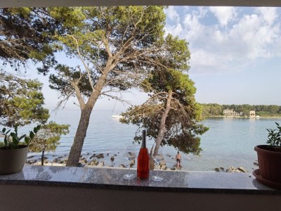 Apartment Three bedroom apartment near beach Ugljan A-19580-a - Outdoor photo 36