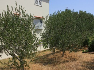 Apartment Two bedroom apartment near beach Tkon, Pašman A-8297-a - Outdoor photo 7