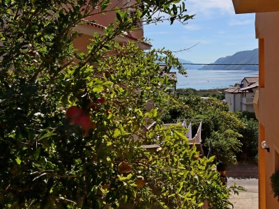 Apartment Two bedroom apartment with terrace and sea view Lopar, Rab A-21808-a - Outdoor photo 24