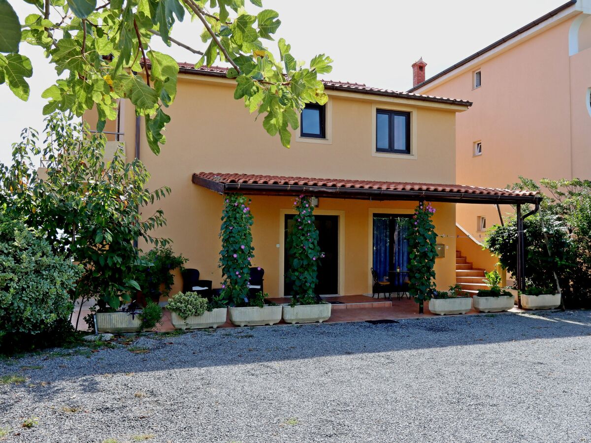 Apartment Studio flat with terrace and sea view Lopar, Rab AS-21808-b - Outdoor photo 3