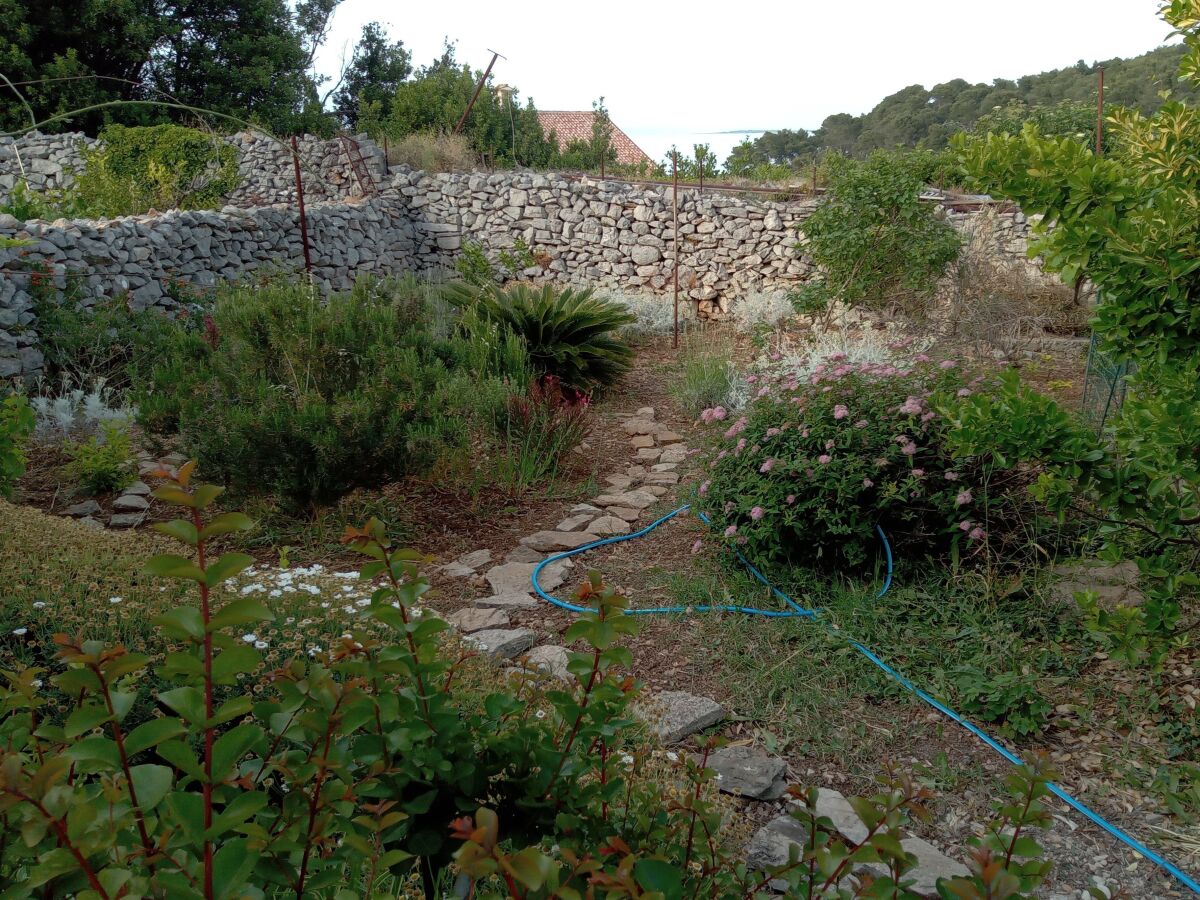 Apartment One bedroom apartment with terrace Veli Lošinj, Lošinj A-24371-a - Outdoor photo 3