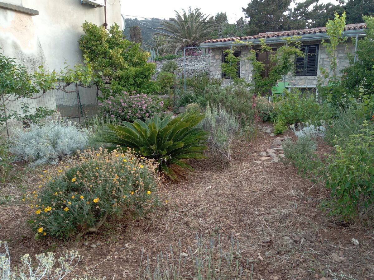 Apartment One bedroom apartment with terrace Veli Lošinj, Lošinj A-24371-a - Outdoor photo 4