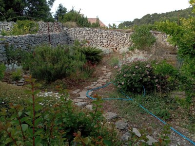 Apartment One bedroom apartment with terrace Veli Lošinj, Lošinj A-24371-a - Outdoor photo 3
