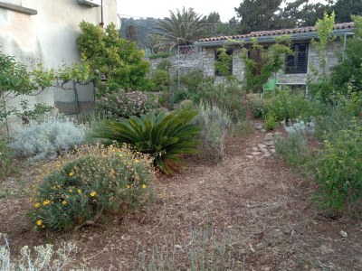 Apartment One bedroom apartment with terrace Veli Lošinj, Lošinj A-24371-a - Outdoor photo 4
