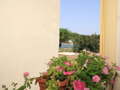 Apartment One bedroom apartment near beach Veli Rat, Dugi otok A-437-a - Outdoor photo 11