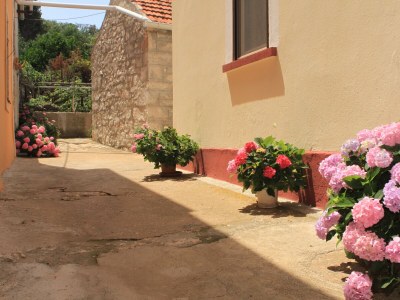 Apartment One bedroom apartment near beach Veli Rat, Dugi otok A-437-a - Outdoor photo 12