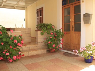 Apartment One bedroom apartment near beach Veli Rat, Dugi otok A-437-a - Outdoor photo 13