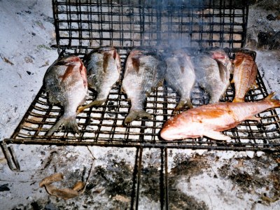 Apartment One bedroom apartment near beach Veli Rat, Dugi otok A-437-a - Outdoor photo 14