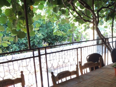 Apartment Two bedroom apartment with terrace Mirca, Brač A-2838-b - Outdoor photo 23