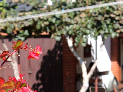 Apartment Two bedroom apartment with balcony Banjole, Pula A-3002-c - Outdoor photo 6