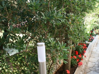 Apartment One bedroom apartment with terrace Mandre, Pag A-6515-a - Outdoor photo 7