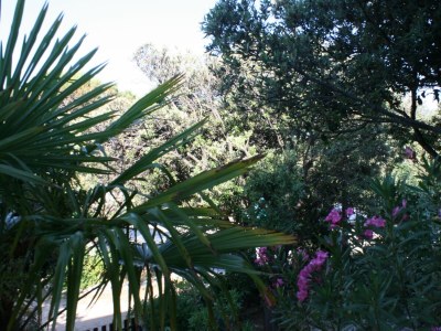 Apartment One bedroom apartment with terrace Mandre, Pag A-6515-a - Outdoor photo 22