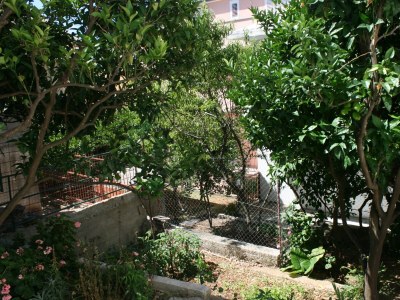 Apartment One bedroom apartment with terrace Podgora, Makarska A-6682-a - Outdoor photo 14