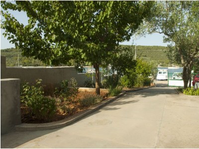 Apartment One bedroom apartment with terrace and sea view Cove Mala Lamjana, Ugljan A-8449-b - Outdoor photo 8