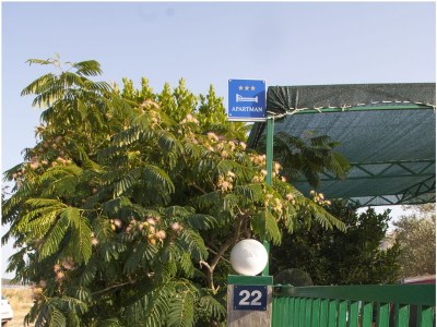 Apartment One bedroom apartment with terrace and sea view Cove Mala Lamjana, Ugljan A-8449-b - Outdoor photo 9