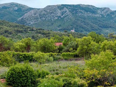 Holiday house Three bedroom house with terrace Jelsa, Hvar K-20339 - Outdoor photo 31