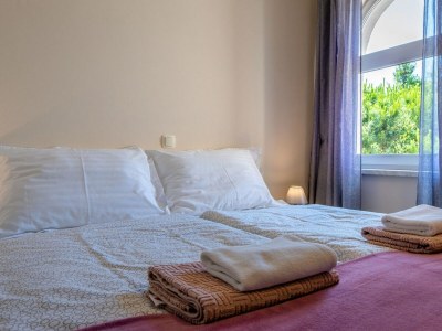 Apartment Two bedroom apartment with balcony and sea view Vir - Kozjak, Vir A-21540-a - Outdoor photo 21