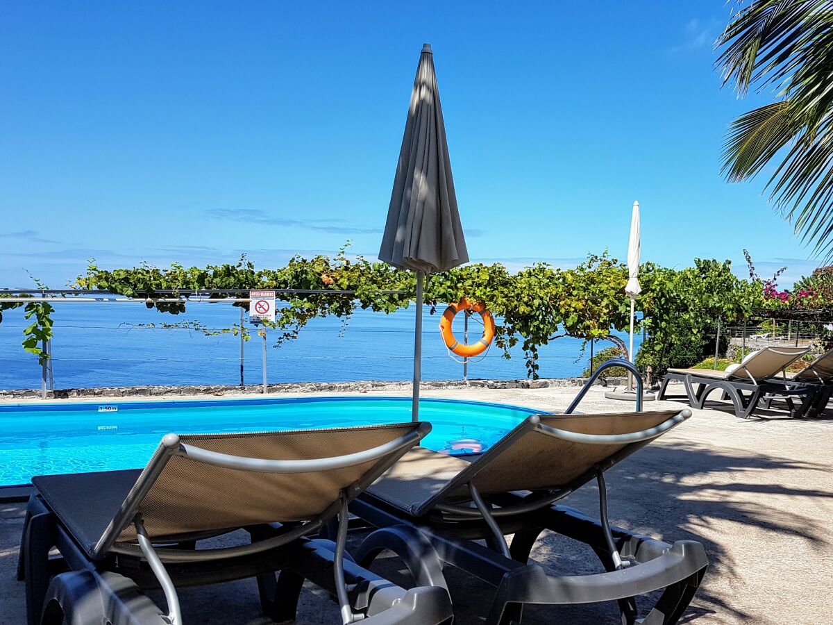 Bungalow Quinta Golfinho - Casa Frangipani