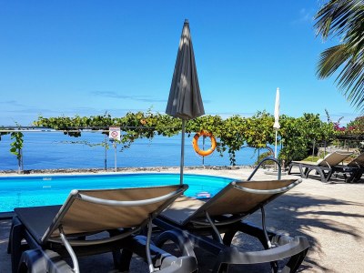 Bungalow Quinta Golfinho - Casa Frangipani in Arco da Calheta - Bungalow