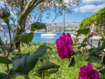 Apartment Studio flat near beach Okrug Gornji, Čiovo AS-9693-a - Outdoor photo 10