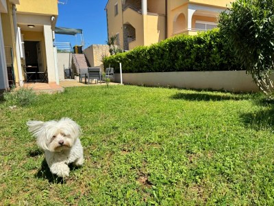 Apartment One bedroom apartment with terrace Čižići, Krk A-22046-a - Outdoor photo 32