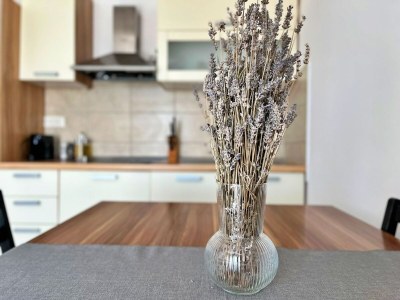 Apartment Two bedroom apartment with balcony and sea view Čižići, Krk A-22046-e - Outdoor photo 17