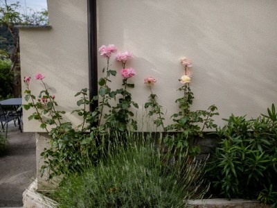 Apartment One bedroom apartment with balcony and sea view Supetarska Draga - Donja, Rab A-11769-c - Outdoor photo 6