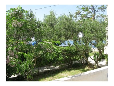 Apartment Two bedroom apartment with terrace and sea view Supetarska Draga - Donja, Rab A-11769-e - Outdoor photo 17