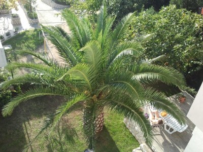 Apartment One bedroom apartment with terrace and sea view Banjol, Rab A-14134-b - Outdoor photo 6