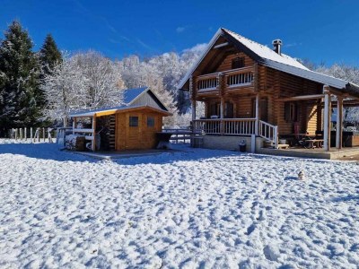 Holiday house Two bedroom house with terrace Belo Selo, Gorski kotar K-24979 - Outdoor photo 2
