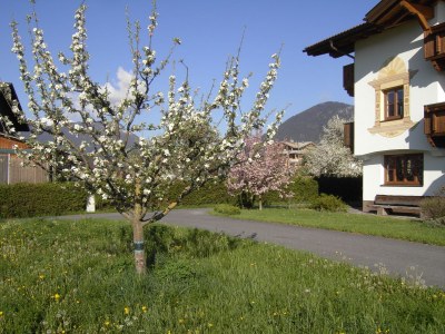 Holiday apartment Sonnweber - Outdoor photo 2