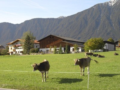 Holiday apartment Sonnweber - Outdoor photo 4