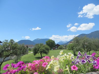 Holiday apartment Sonnweber - Outdoor photo 8