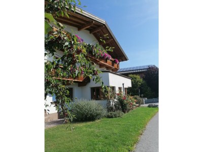 Holiday apartment Sonnweber - Outdoor photo 10