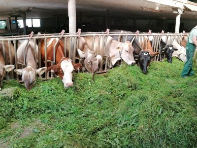 Holiday apartment Sonnweber - Environment photo 24