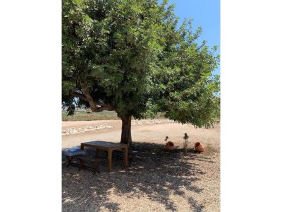 Holiday house Stone house with private pool in Agua Amarga - Environment photo 36