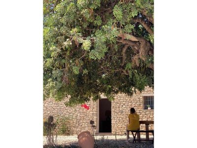 Holiday house Stone house with private pool in Agua Amarga - Environment photo 37