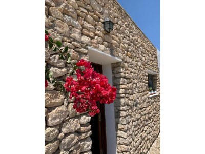 Holiday house Stone house with private pool in Agua Amarga - Outdoor photo 38