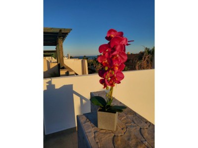 Apartment Wohnung  nur wenige Schritte vom Strand entfernt - Outdoor photo 39