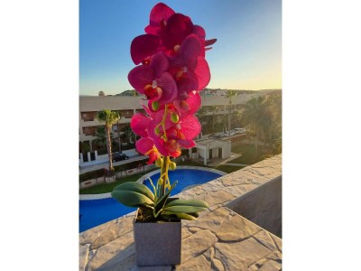 Apartment Wohnung  nur wenige Schritte vom Strand entfernt - Outdoor photo 40