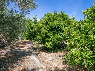 Holiday house Three bedroom house near beach Cove Fabrice, Šolta K-8692 - Outdoor photo 16