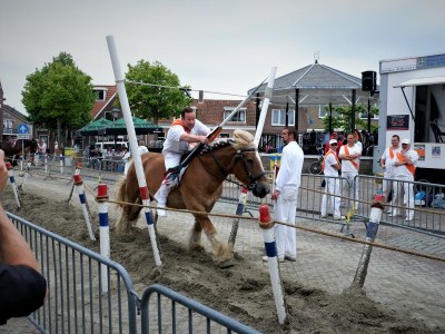 Bungalow For 4 people in the holiday resort Broedershoek - Environment photo 21