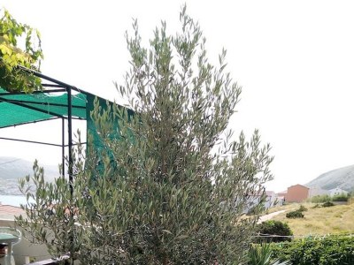 Apartment One bedroom apartment with balcony and sea view Pag A-20577-b - Outdoor photo 6