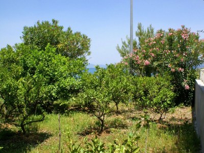 Apartment Two bedroom apartment near beach Drače, Pelješac A-4550-b - Outdoor photo 4