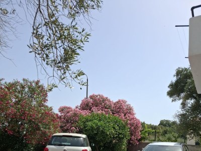 Apartment Two bedroom apartment near beach Drače, Pelješac A-4550-b - Outdoor photo 7