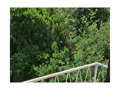 Apartment Two bedroom apartment near beach Drače, Pelješac A-4550-b - Outdoor photo 16