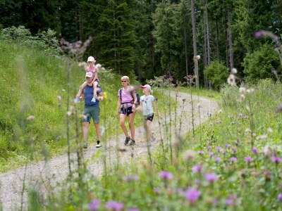 Holiday house Alpine apartment with view & garden - Environment photo 17