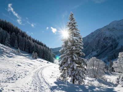 Holiday house Alpine apartment with view & garden - Environment photo 19