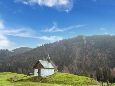 Apartment Dog-friendly holiday apartment in Bregenzerwald - Environment photo 20